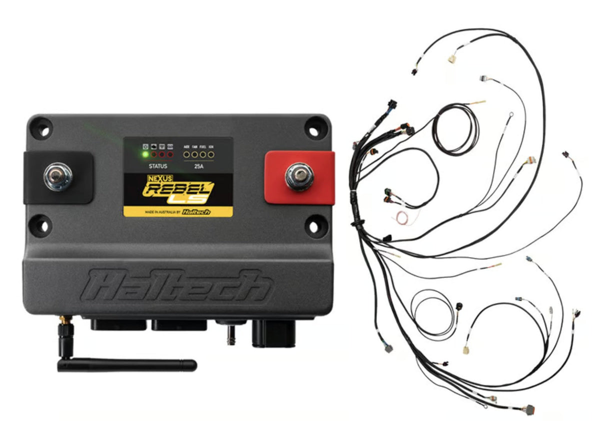 Haltech Nexus Rebel LS ECU alongside the main engine harness supplied in the Gen III kit.
