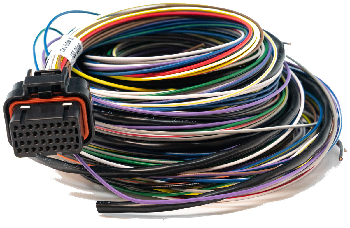 Link B loom for G4X wire-in ECUs, terminated B connector at one end and unterminated colour coded wires at the other.
