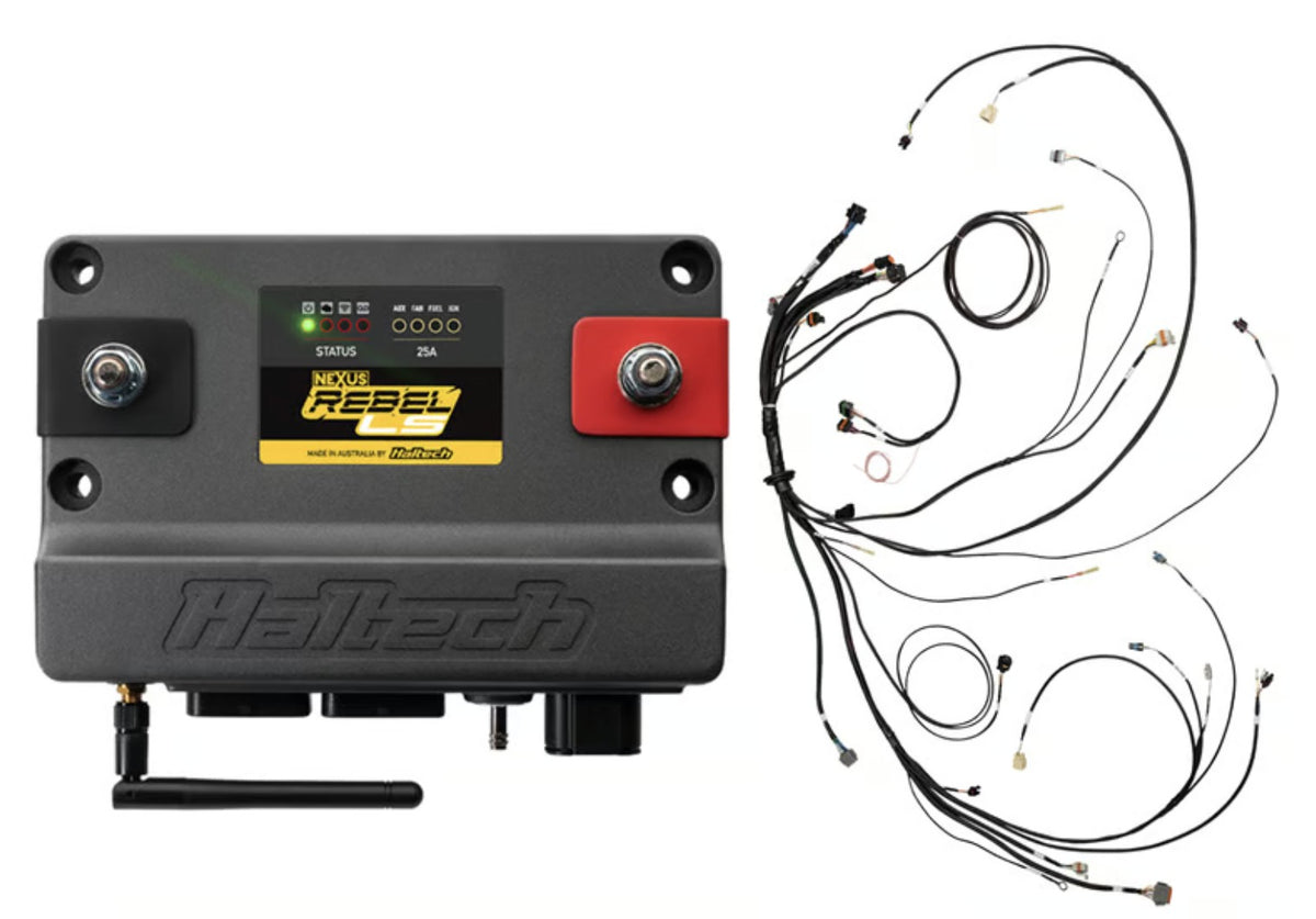 Haltech Nexus Rebel LS ECU alongside the main engine harness supplied in the kit.